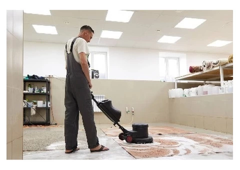 Professional Carpet Cleaning and Window Cleaning in Hackney