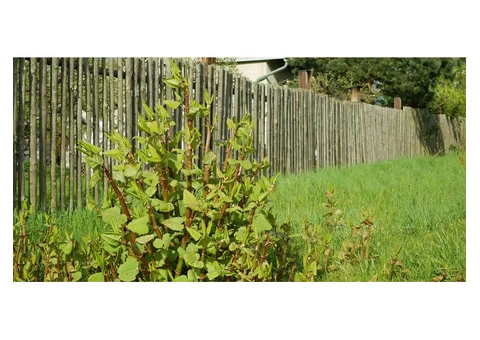 Knotweed Solutions Limited - 2/5