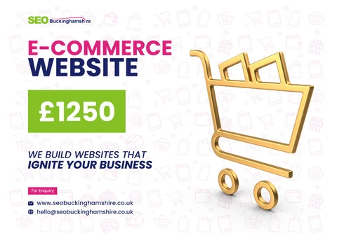 Boost Your Sales with a Professionally E-Commerce Website