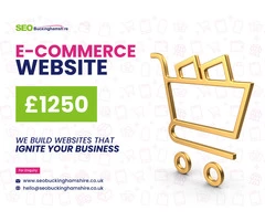 Boost Your Sales with a Professionally E-Commerce Website