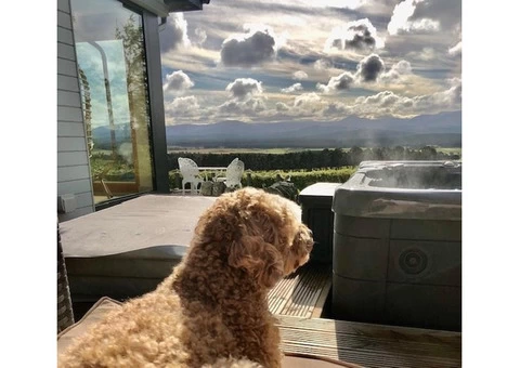 Pet-Friendly Lodges in Scotland