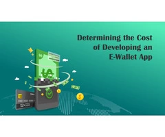 Determining the Cost of Developing an E-Wallet App