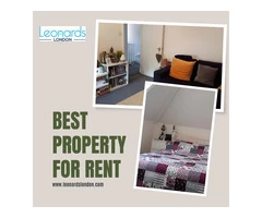 Manage rental properties under assistance of Letting agency