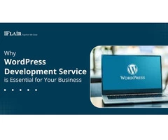 Why Wordpress Development Service Is Essential For Your Business.