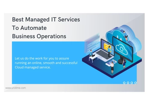 Best Managed IT Services To Automate Business Operations