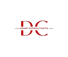 Get Full Damp and Timber Survey at Affordable Rates