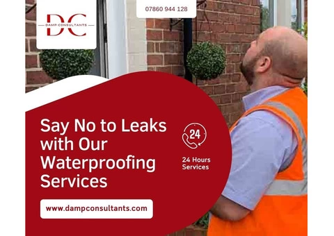 Get Full Damp and Timber Survey at Affordable Rates - 3/7