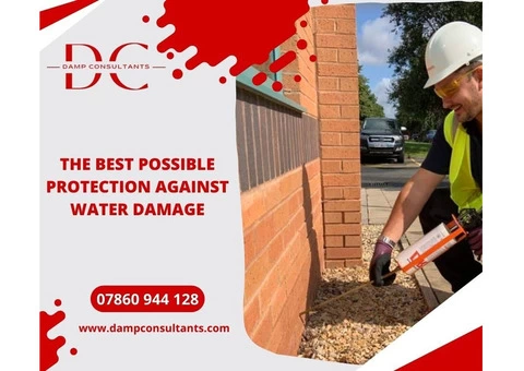 Get Full Damp and Timber Survey at Affordable Rates - 4/7