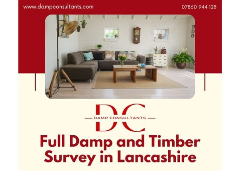 Get Full Damp and Timber Survey at Affordable Rates - 5/7