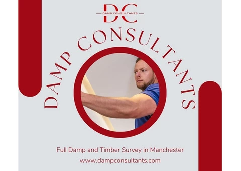 Get Full Damp and Timber Survey at Affordable Rates - 6/7