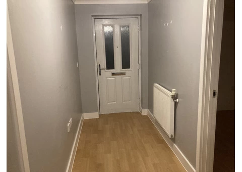 Stevie’s Home Help - 6/7