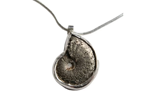 Why Wear Ammonite Fossil Jewelry Good? - 1/3