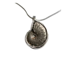 Why Wear Ammonite Fossil Jewelry Good?