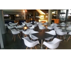 Eco Furniture: Your Ultimate Destination for Limewash Chiavari Chair