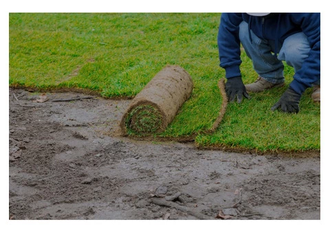 Expert roofing and landscaping contractors in North Tyneside - 2/2
