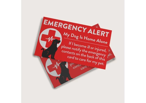 Emergency Pet Cards Printing Shop in UK