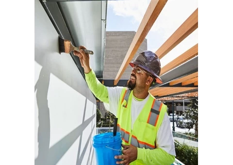 Professional Painter and decorator in cheshire