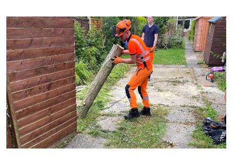 Trusted Tree Surgeons in Birmingham - A & T Tree Services Ltd