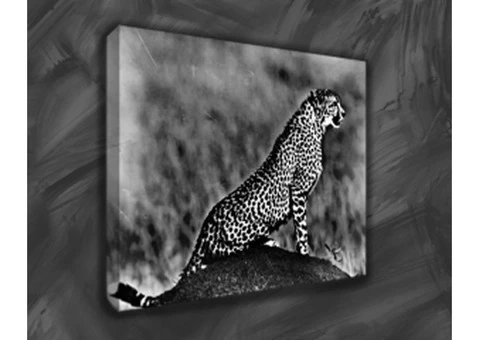 Give your memories long life with custom canvas prints