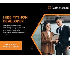 Hire Python Web Development Professionals