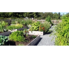 Looking for expert landscapers in Milton Keynes?