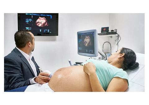 Discover the magic of your baby's world at Window to the Womb