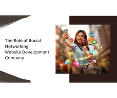 The Role of a Social Networking Website Development Company