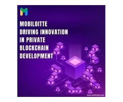 Unlock the Potential of Private Blockchain with Mobiloitte's Solutions