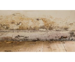 Damp 2 Dry Solution: Stoke & Stafford's Leading Damp Proofing Specialist