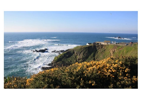 Discover the Mesmerizing Beauty of Cornwall's Lush Landscape