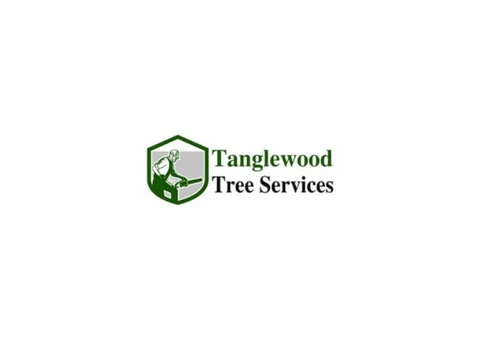 Professional Tree Service in Dundee - Tangle Wood Tree Service - Call Now