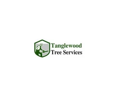 Professional Tree Service in Dundee - Tangle Wood Tree Service - Call Now