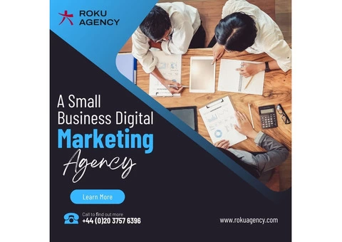 Ecommerce Digital Marketing Agency in London | Roku Agency
