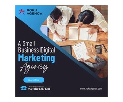 Ecommerce Digital Marketing Agency in London | Roku Agency