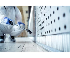 Asbestos Removal Cheltenham - We Guarantee Quality and Safety