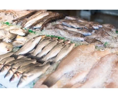 Best Fishing Merchant in Cornwall
