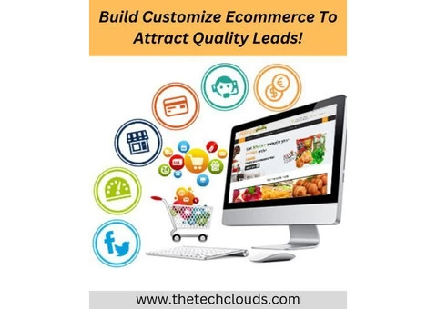 Build Customize Ecommerce To Attract Quality Leads!