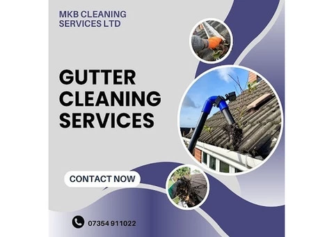 Hire Expert Gutter Cleaning Services to Keep Your Gutter Dirt-Free
