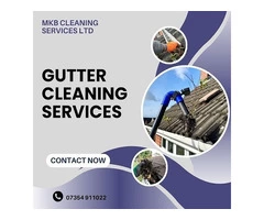 Hire Expert Gutter Cleaning Services to Keep Your Gutter Dirt-Free