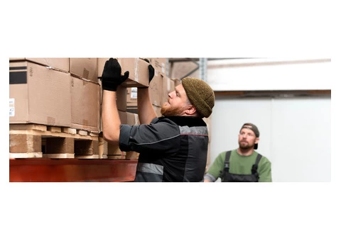 Plaza Removals | Professional Packers and Movers - 3/6