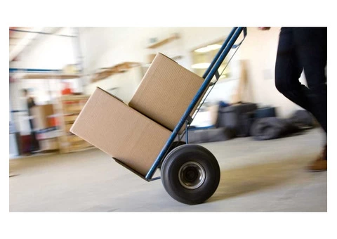 Plaza Removals | Professional Packers and Movers - 4/6