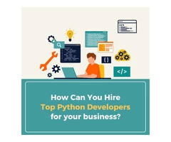 How can you hire top Python developers for your business?