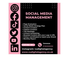 CONTENT CREATION | SOCIAL MEDIA MANAGEMENT | WEB DESIGN | BRANDING