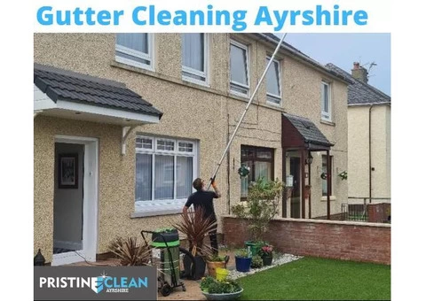 Pristine Clean Ayrshire - 4/5