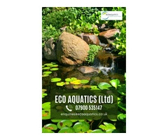 Cleaning of ponds and water features in Hertfordshire