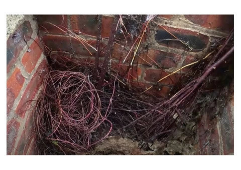 Blocked Drains St Helens