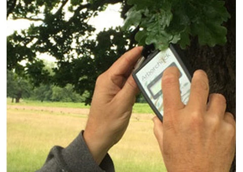 Treework Environmental Practice - 1/10