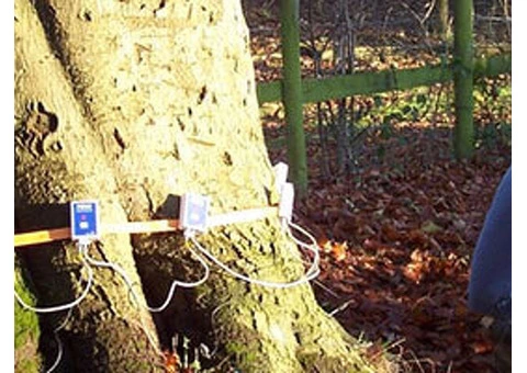 Treework Environmental Practice - 3/10