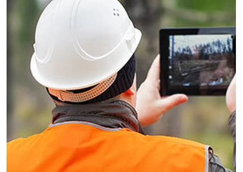 Treework Environmental Practice - 6/10