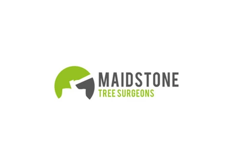 Certified Arborists for Maidstone Tree Care - Maidstone Tree Surgeons Ltd